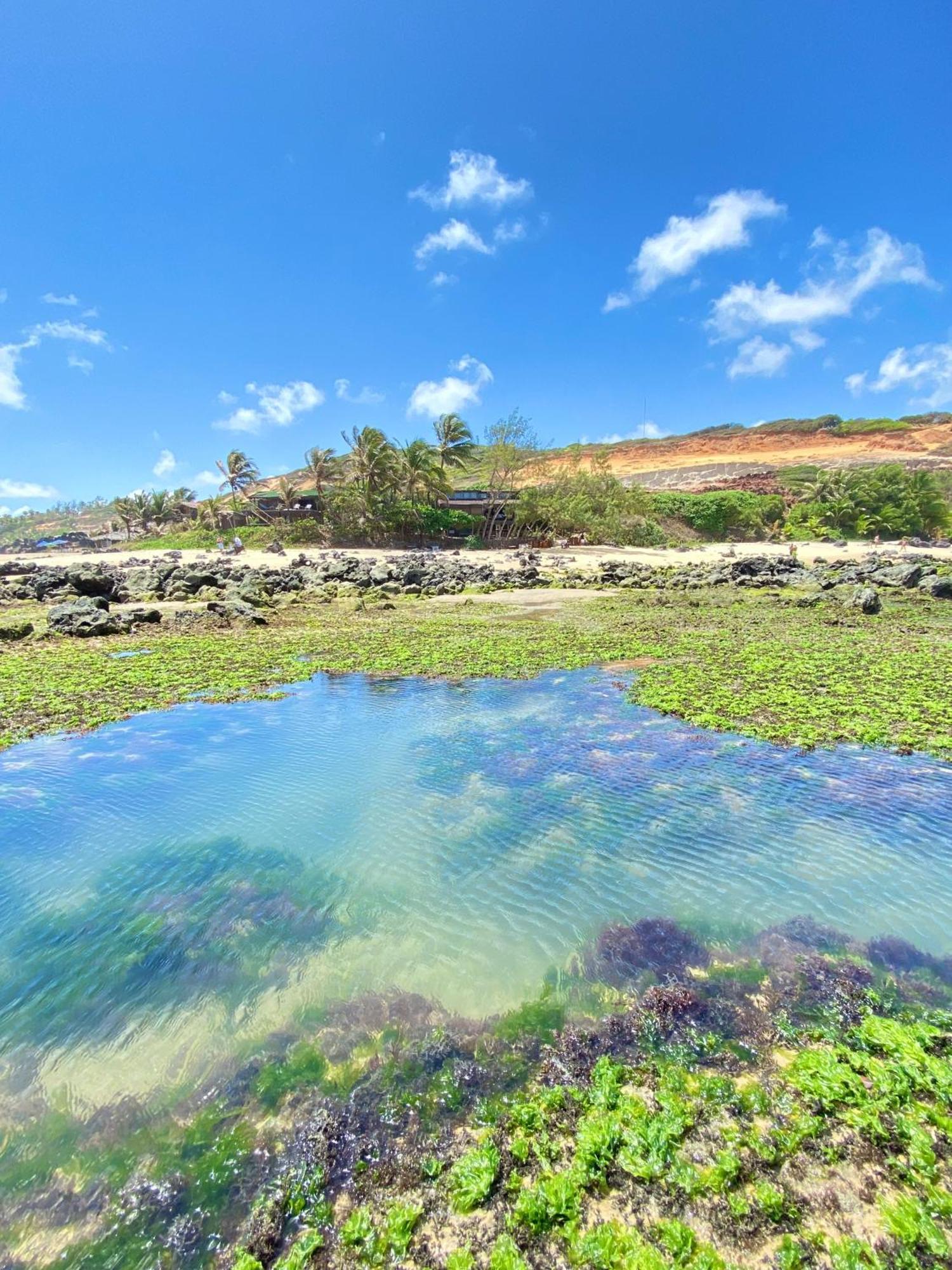 Pousada Paraiso Das Tartarugas Praia de Pipa 外观 照片